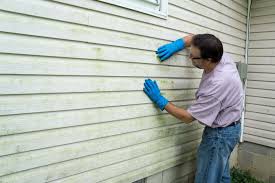 Best Siding Painting and Refinishing  in Robbins, NC